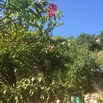 Toni I Kristina Baška