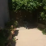 Toni I Kristina باشْكا
