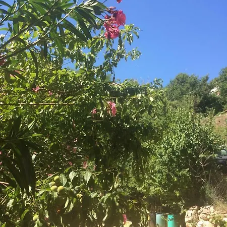 Toni I Kristina Baška