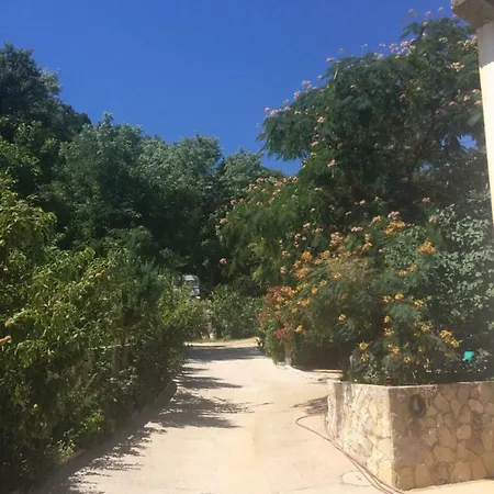 Toni I Kristina * Baska (Krk)