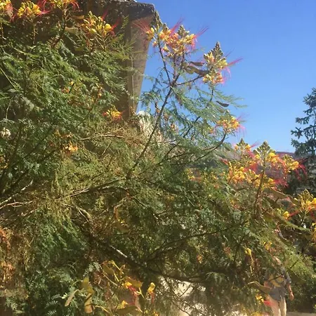 Apartment Toni I Kristina Baska (Krk)